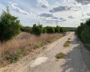 Land for sale in Sant Joan de l'Ènova