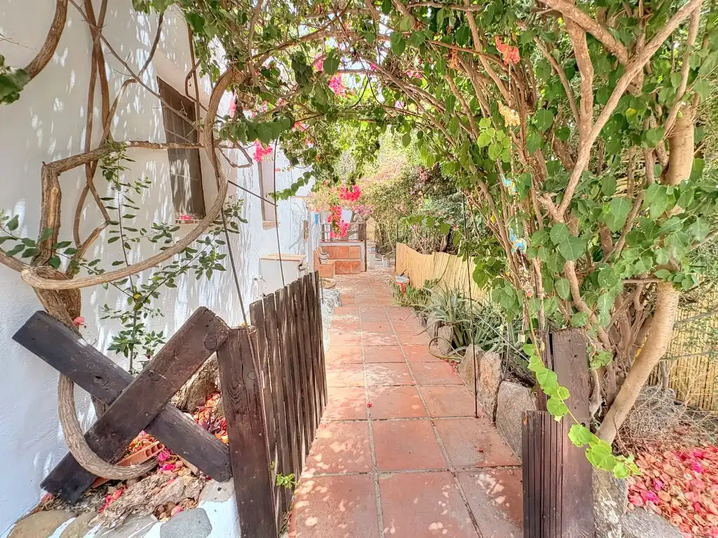 Vista exterior de Finca rústica en venta en Benamargosa con Jardín privado y Amueblado