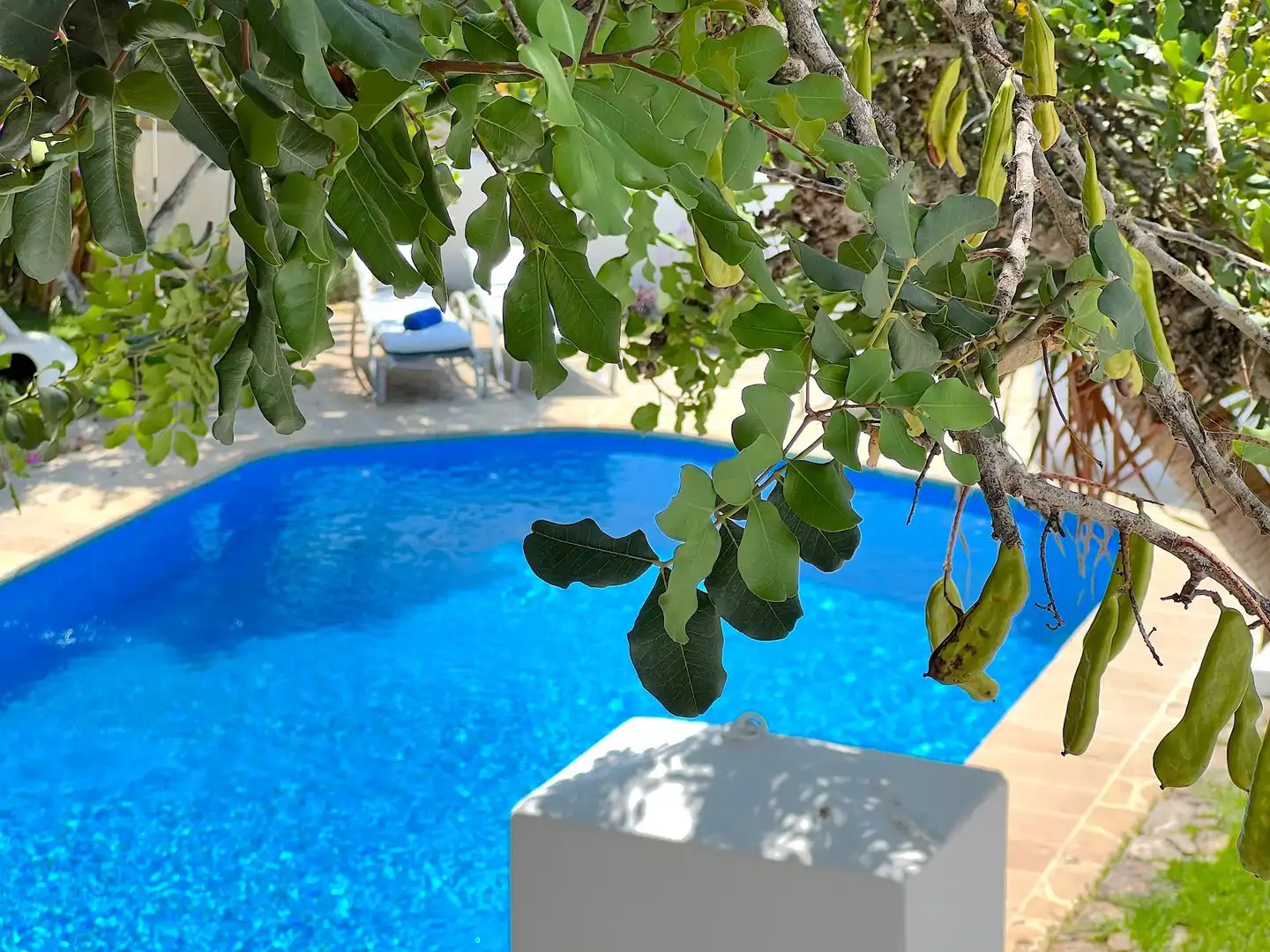Swimming pool of Houses for sale in Sant Antoni de Portmany  with Air Conditioner, Heating and Private garden