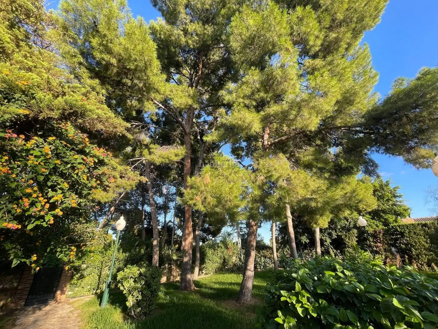 Villa zur Miete in Carrer Mestral 3, imagen 6