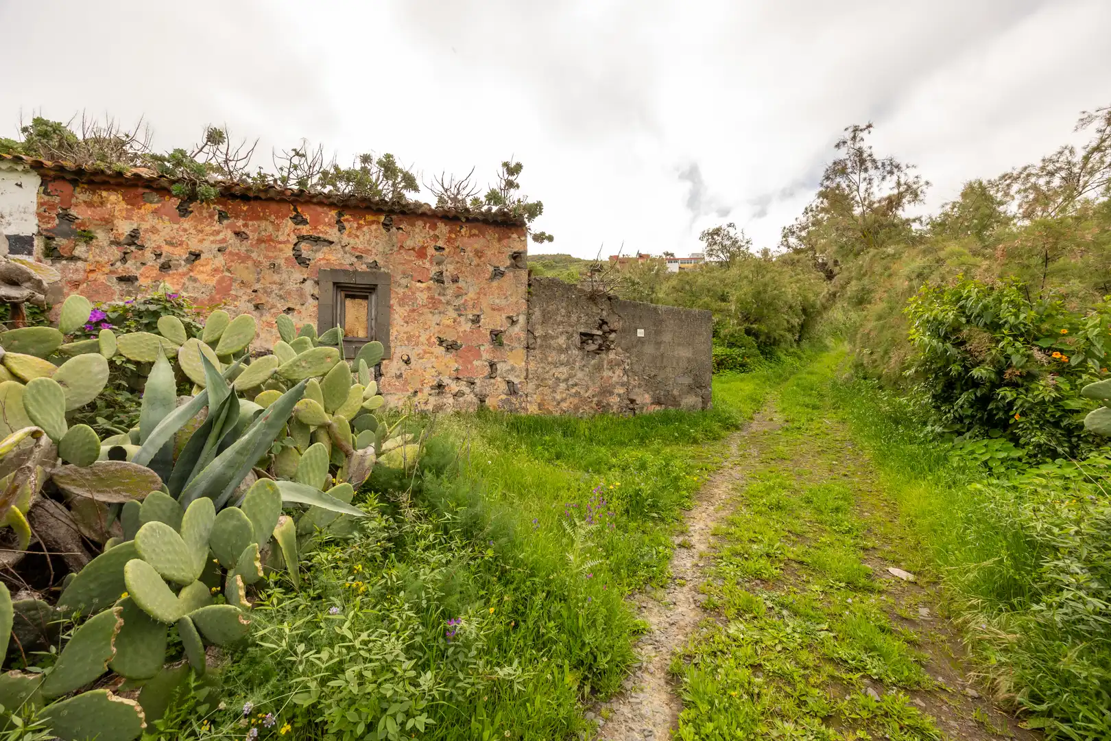 Exterior view of Country homes for sale in Santa Brígida  with Private garden and Terrace