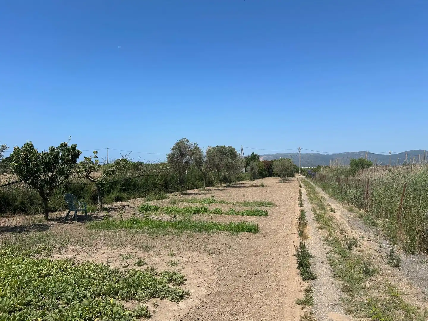Terreno rustico in vendita a Vilamarina