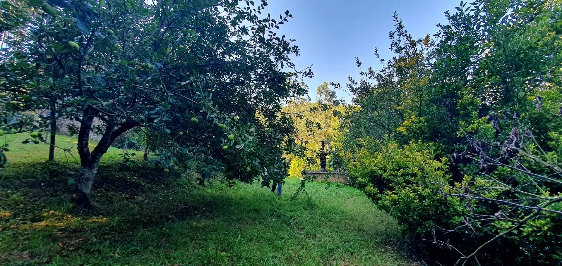 Casa o chalet en venta en Castropol con Calefacción, Jardín privado y Terraza