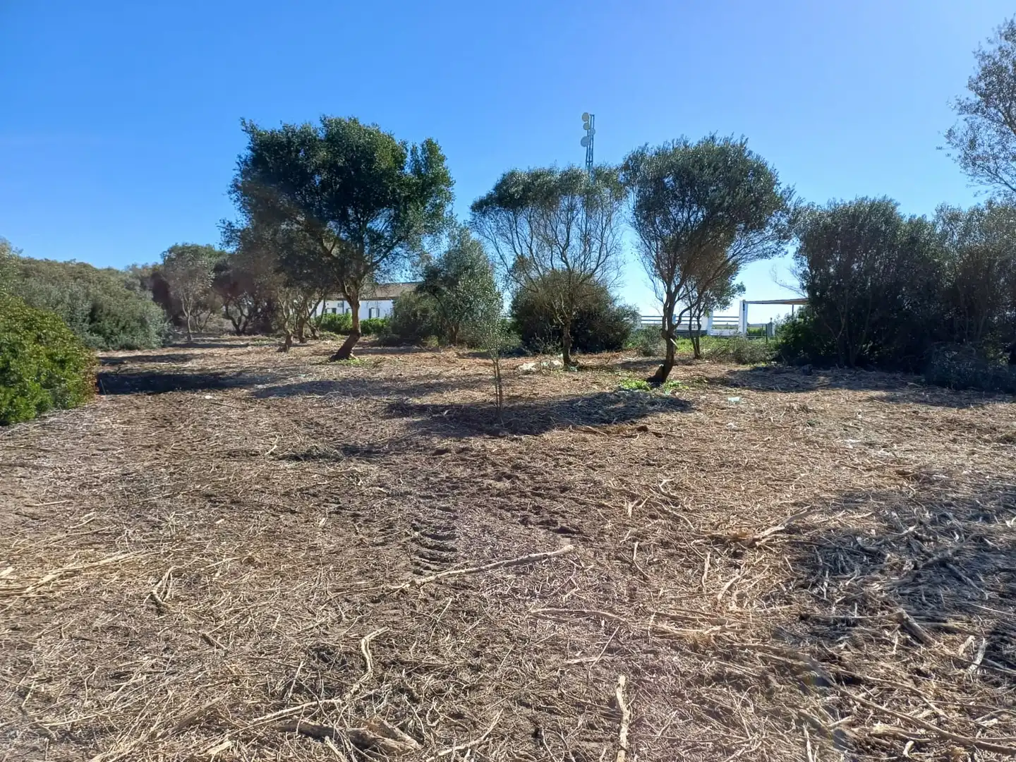 Terrenys i solars en venda a Pelagatos - Pago del Humo, imagen 10