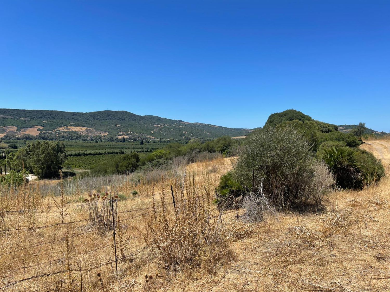 Country house zum verkauf in Sotogrande