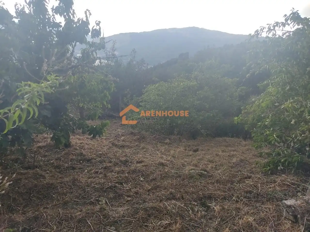 Casa amb terrassa en venda a Ventiun, imagen 9