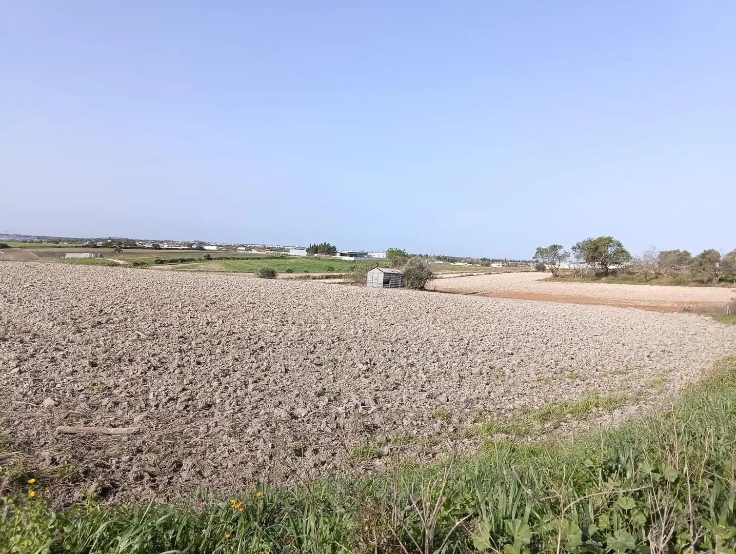 Rustikales Grundstück zum Verkauf in Los Franceses – La Vega, imagen 2