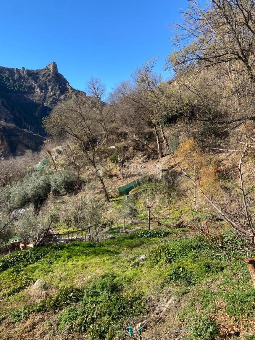 Terreno en venta en Güejar Sierra