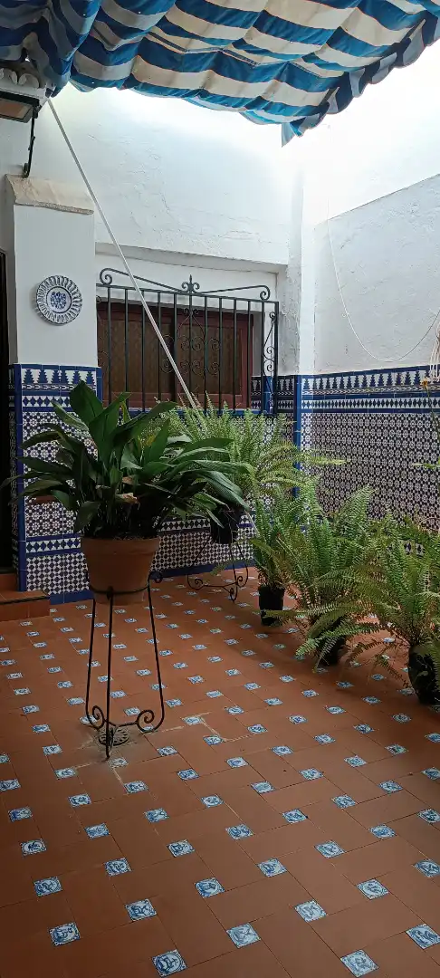 Jardín de Casa o chalet en venta en Mairena del Alcor