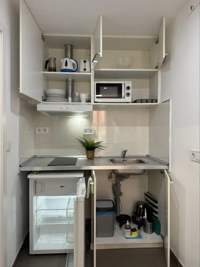 Studio zur Miete in Centro, imagen 4