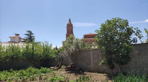 Nave para construir vivienda y huerto (urbano), immagine 5