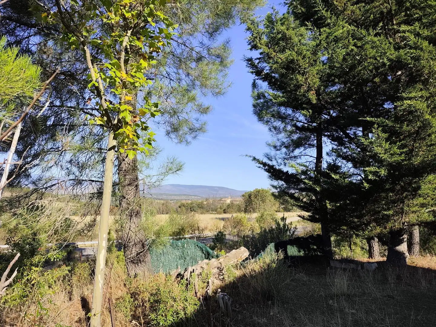 Casa o chalet en venta en Berzosa del Lozoya con Jardín privado y Terraza