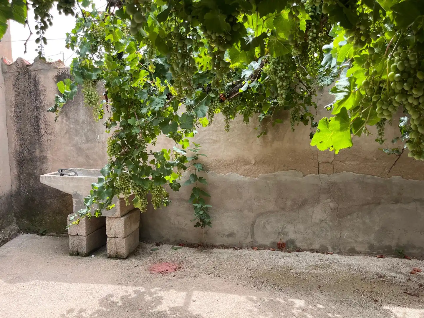 Casa adosada en venta en Tobarra con Jardín privado, Terraza y Trastero