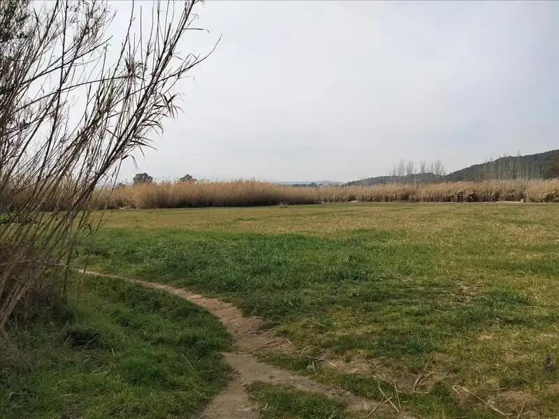 Wohnbaugrundstück zum Verkauf in PLA DE NAU Polígono 2 Parcela, imagen 6