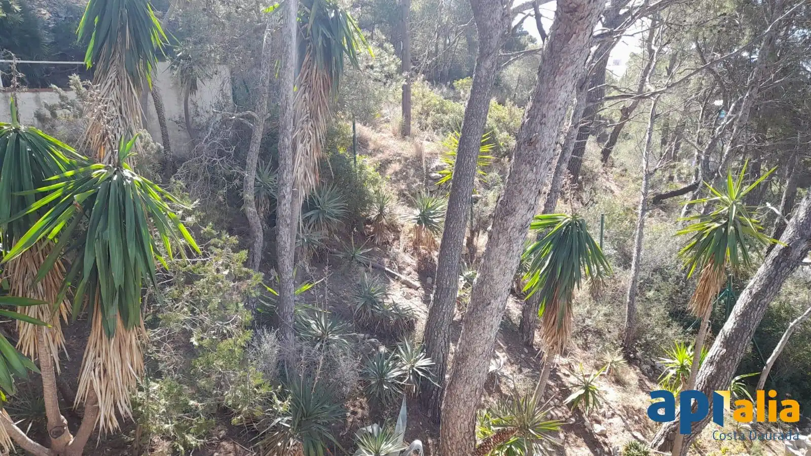 Villa à vendre à Pla de Maset - Cap de Salou, imagen 8