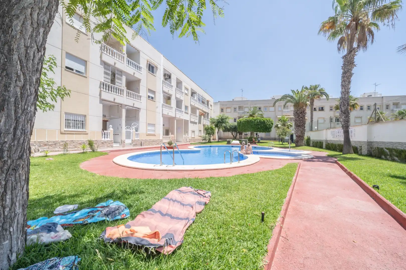 Piscina de Apartamento de alquiler en Torrevieja con Aire acondicionado, Terraza y Piscina