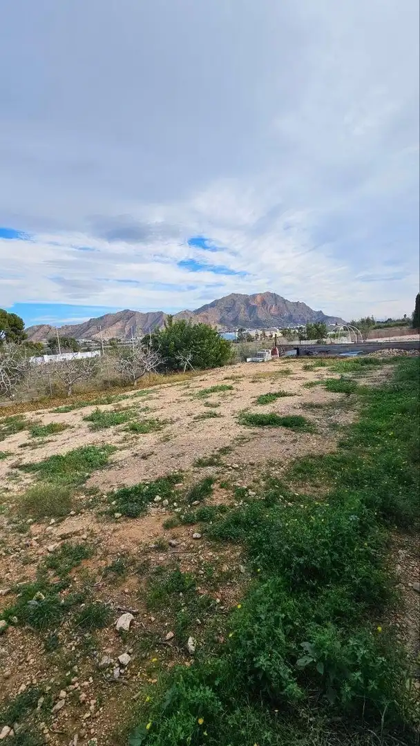 Casa o xalet en venda a N/A, -1, Orihuela ciudad