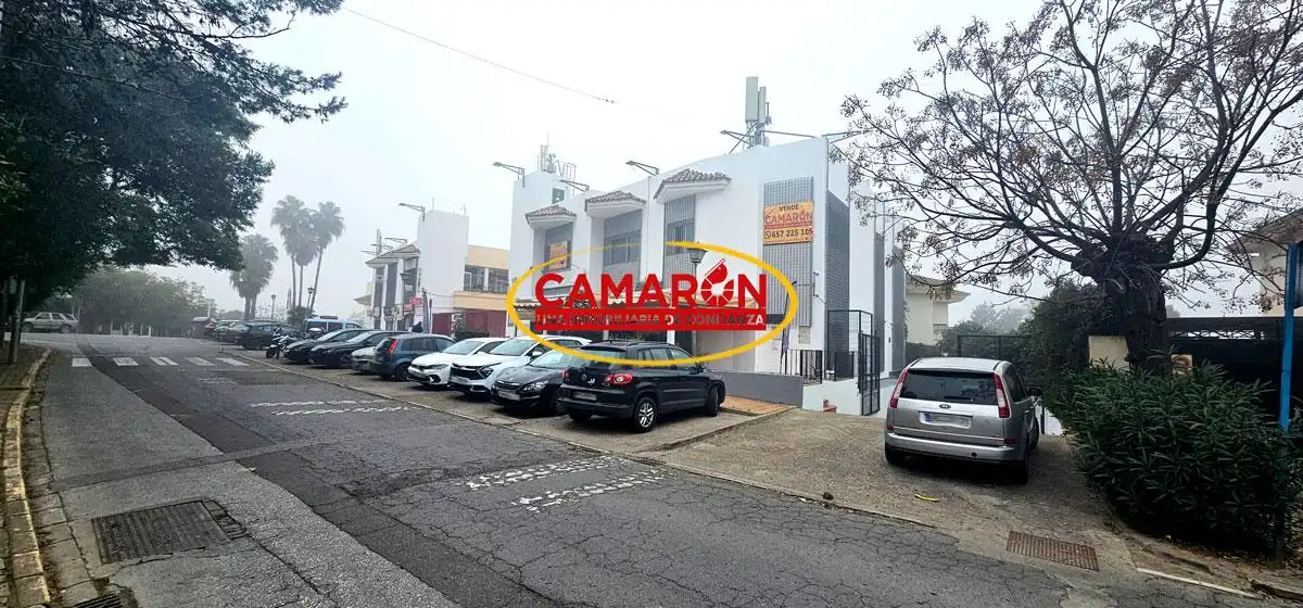 Local commercial à vendre à Simon Verde, imagen 19