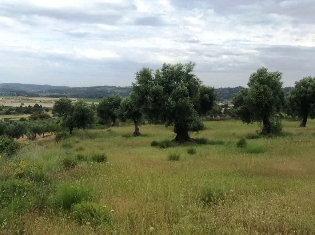 Rural land for sale in Horta de Sant Joan, imagen 3
