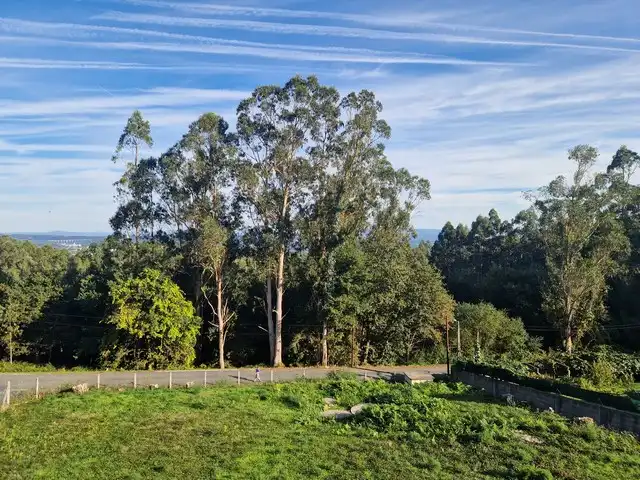 Local commercial à vendre à Camiño da Cova da Pereira 22, imagen 13