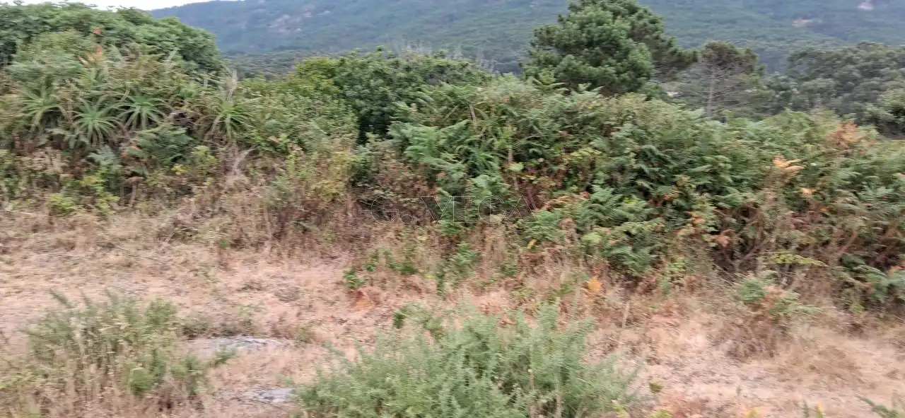 Terrenys i solars en venda a Oia, imagen 25