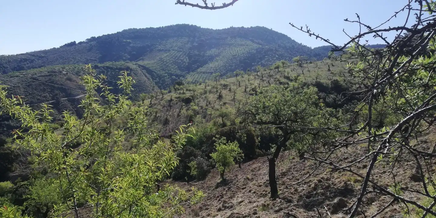Casa rústica en venta en El Pinar, imagen 18
