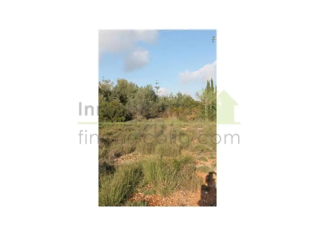 Terreny residencial en venda a Càlig, imagen 5