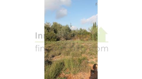 Preciosa finca con proyecto arquitectónico., imatge 5