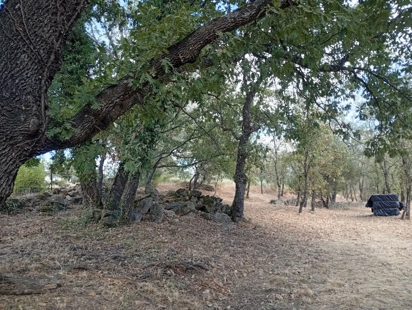 Terreni e lotti in vendita a Villanueva de la Vera, imagen 120