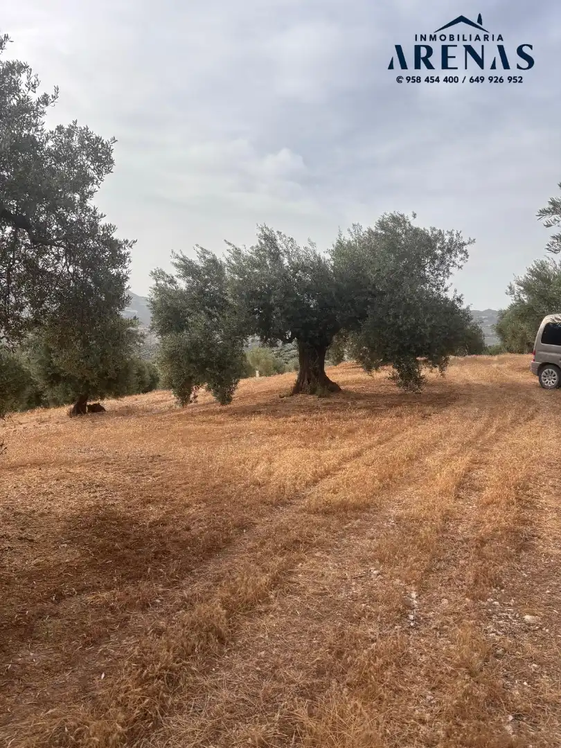 Rustikales Grundstück zum Verkauf in Calle Pozo de Íllora, imagen 7