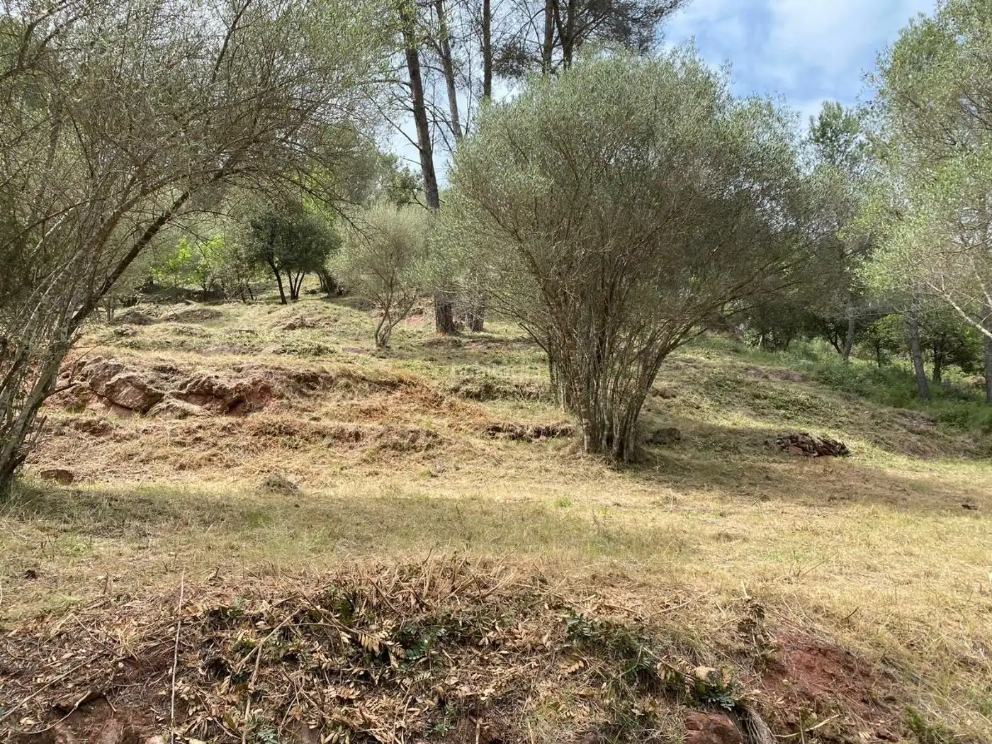 Terreno residencial en venta en Carrer de l'Óssa Major 18, imagen 5