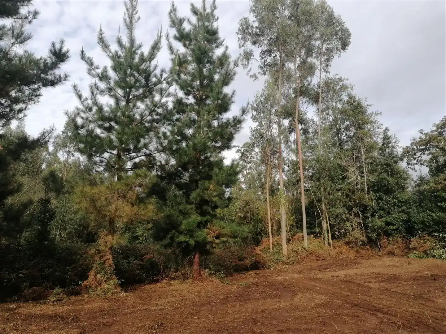 Terreno en venta en Cerdido