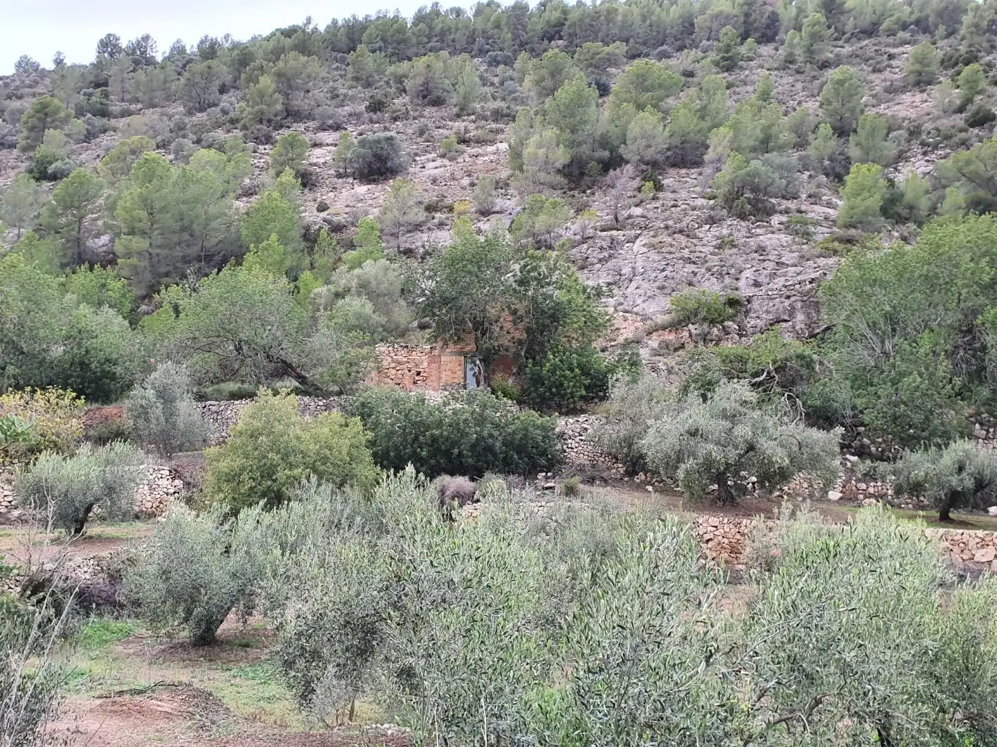 Maison à vendre à Benifallet, imagen 49