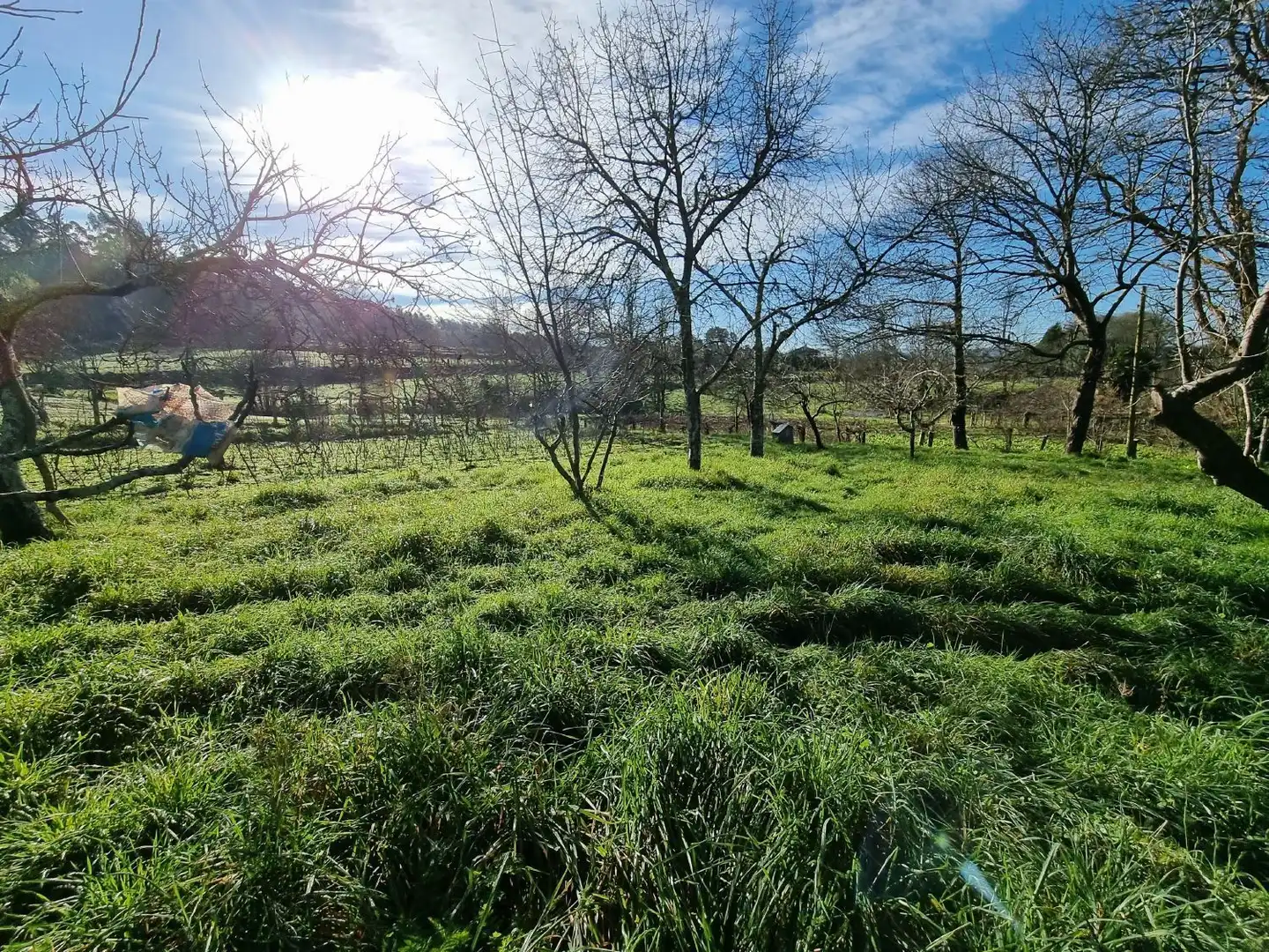 Houses for sale in Teo
