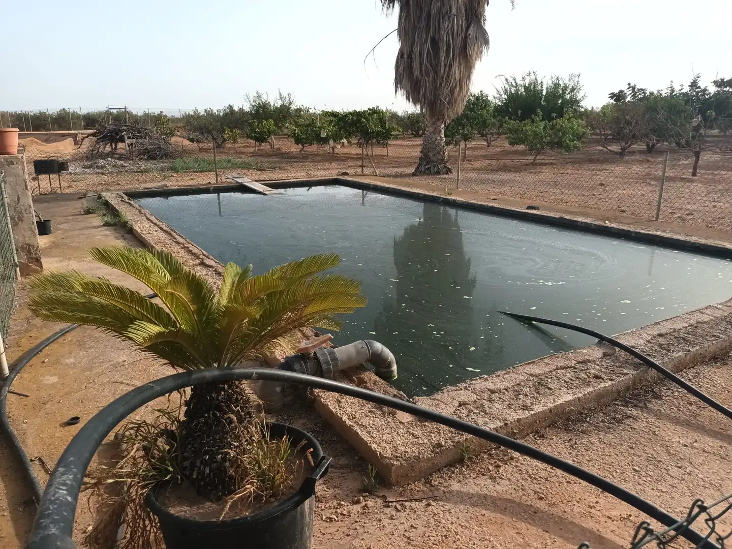 Swimming pool of Houses for sale in Cartagena  with Terrace, Swimming Pool and Furnished