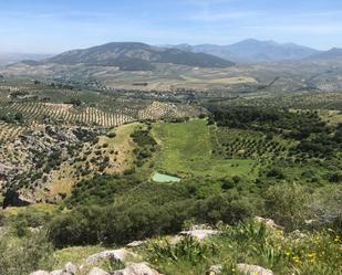 Finca rústica en venda en  Jaén Capital