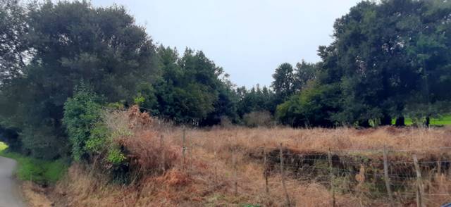 Terreno residencial en Venta en Noval en Escalante