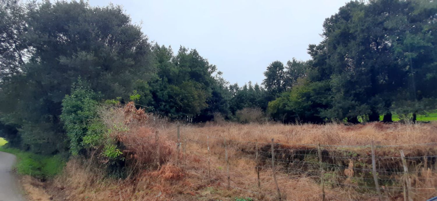 Residencial en venta en Escalante