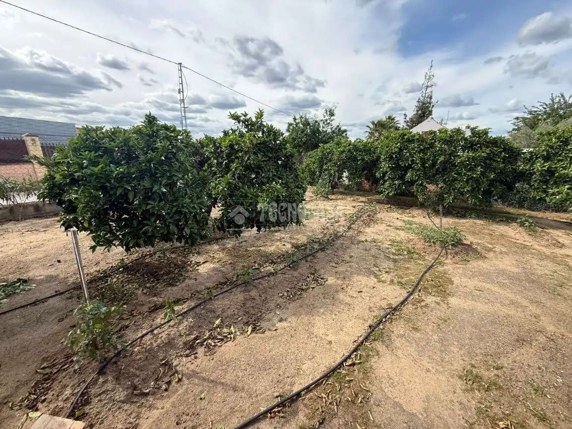 Finca rústica en venda en Arahal amb Aire condicionat