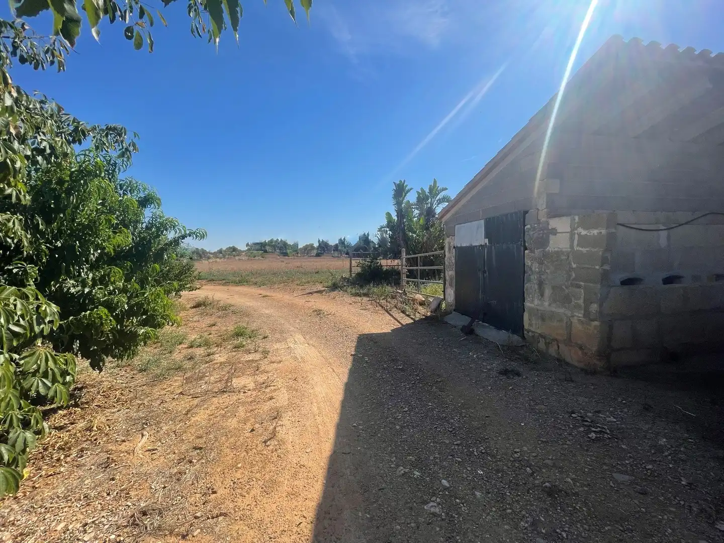 Finca rústica en venta en Muro con Jardín privado, Terraza y Trastero
