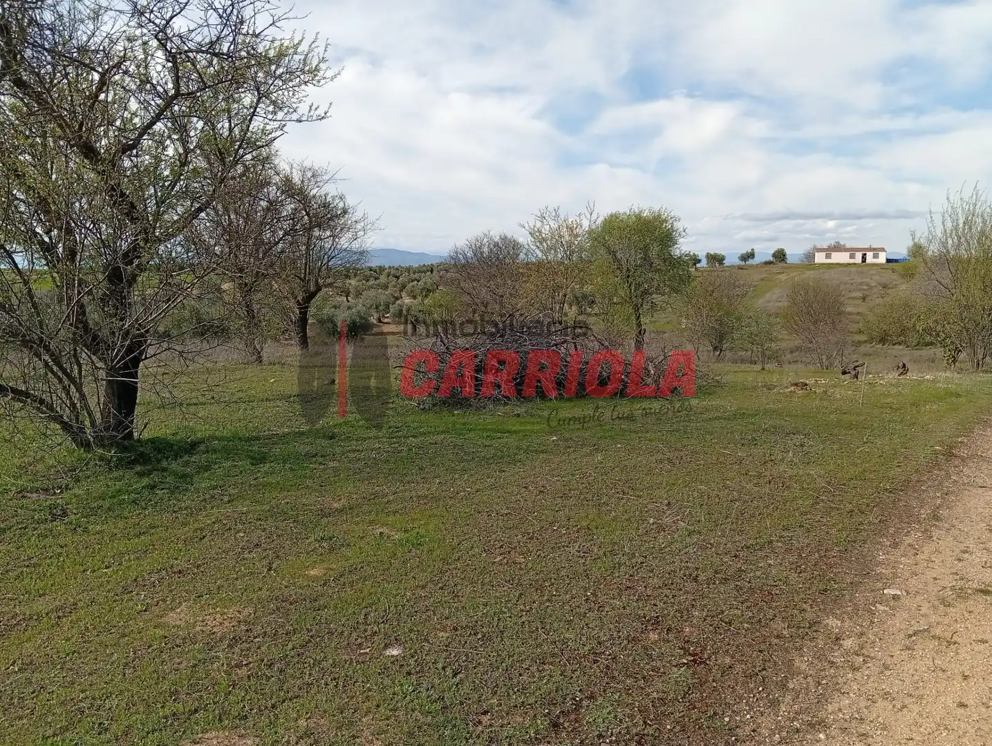 Casa rústica en venta en Los Cerralbos, imagen 25