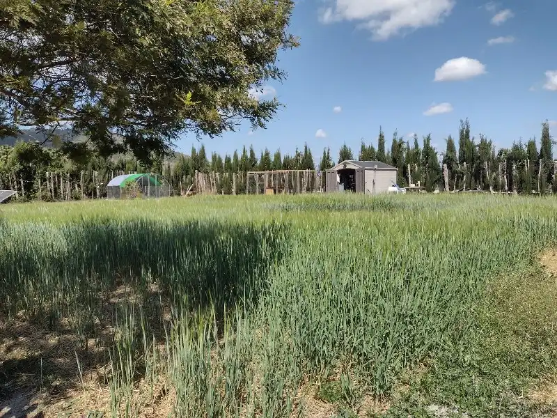 Terrain rustique à vendre à Simat de la Valldigna, imagen 24