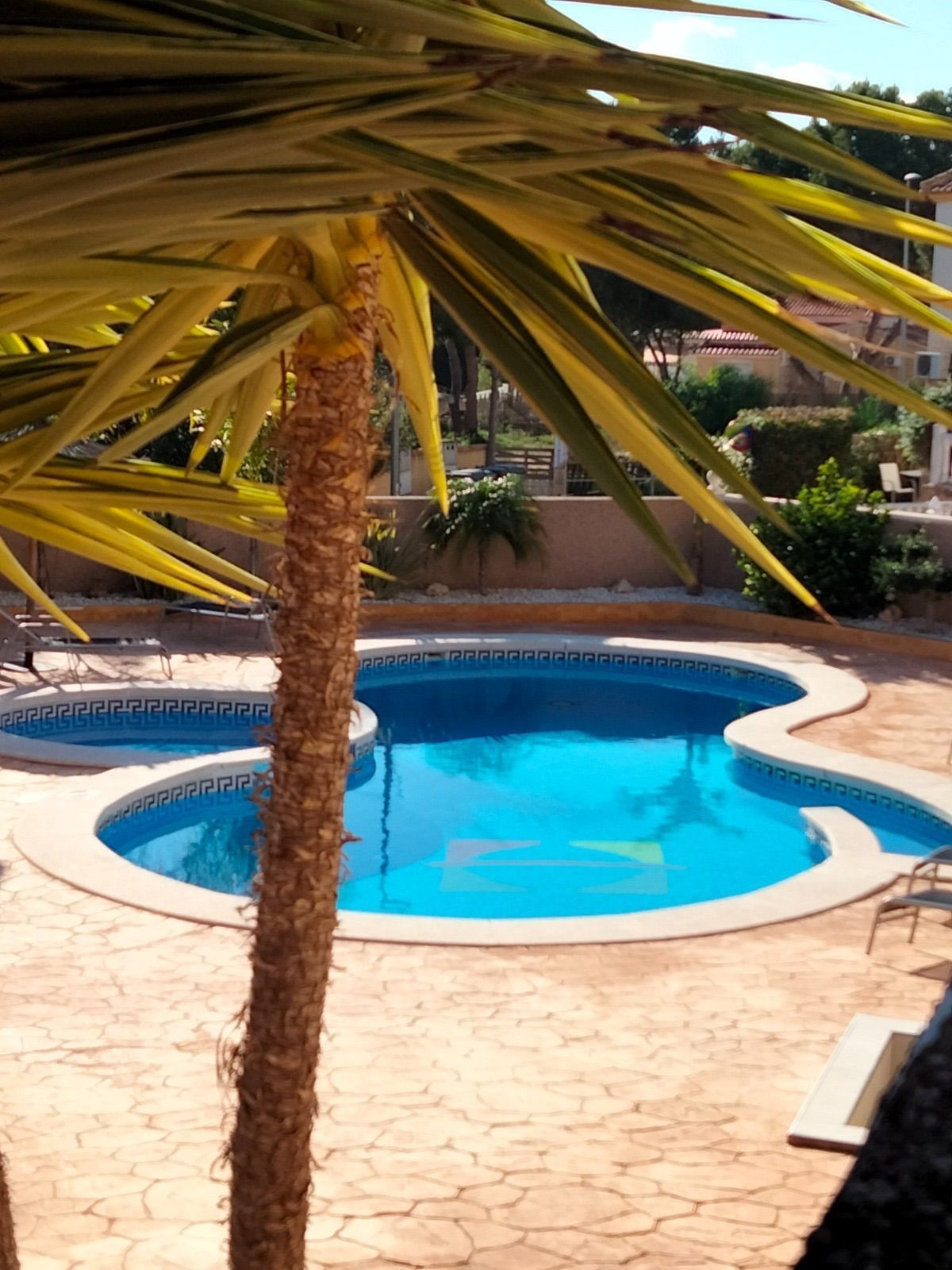 Schwimmbecken von Einfamilien-Reihenhaus miete in Algorfa mit Klimaanlage, Heizung und Terrasse