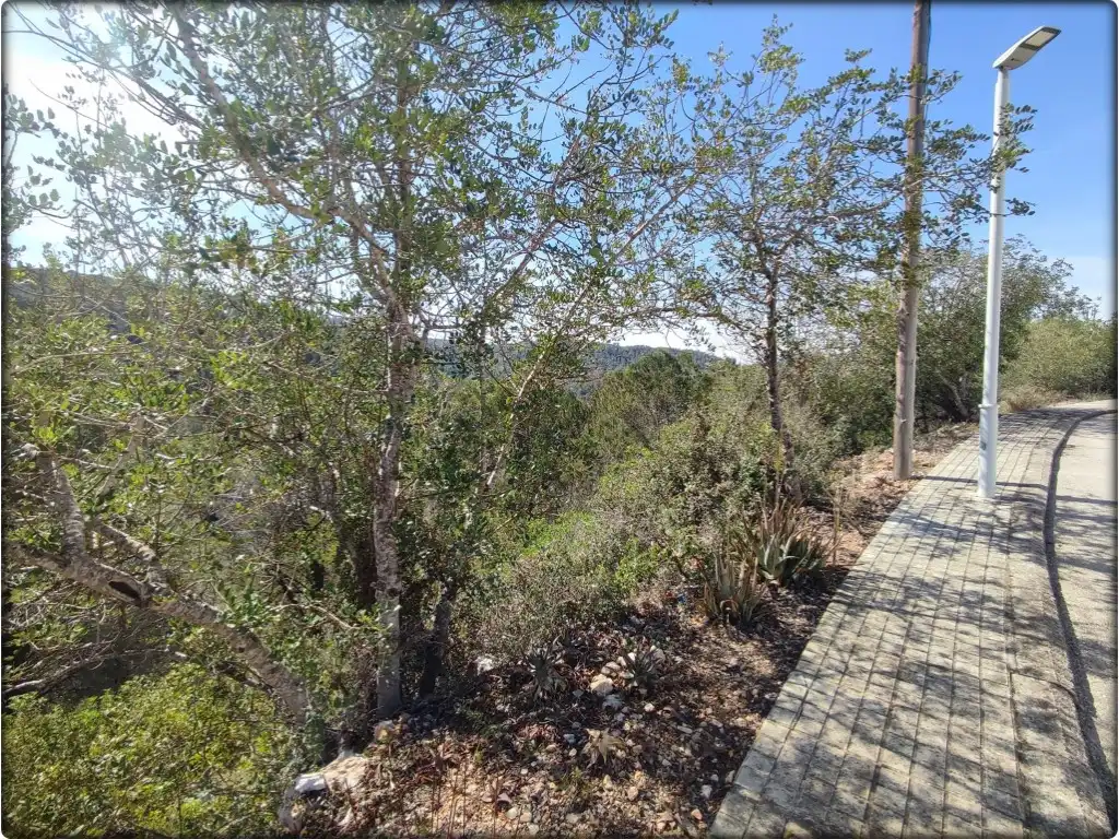 Residential for sale in La Font d'en Carròs