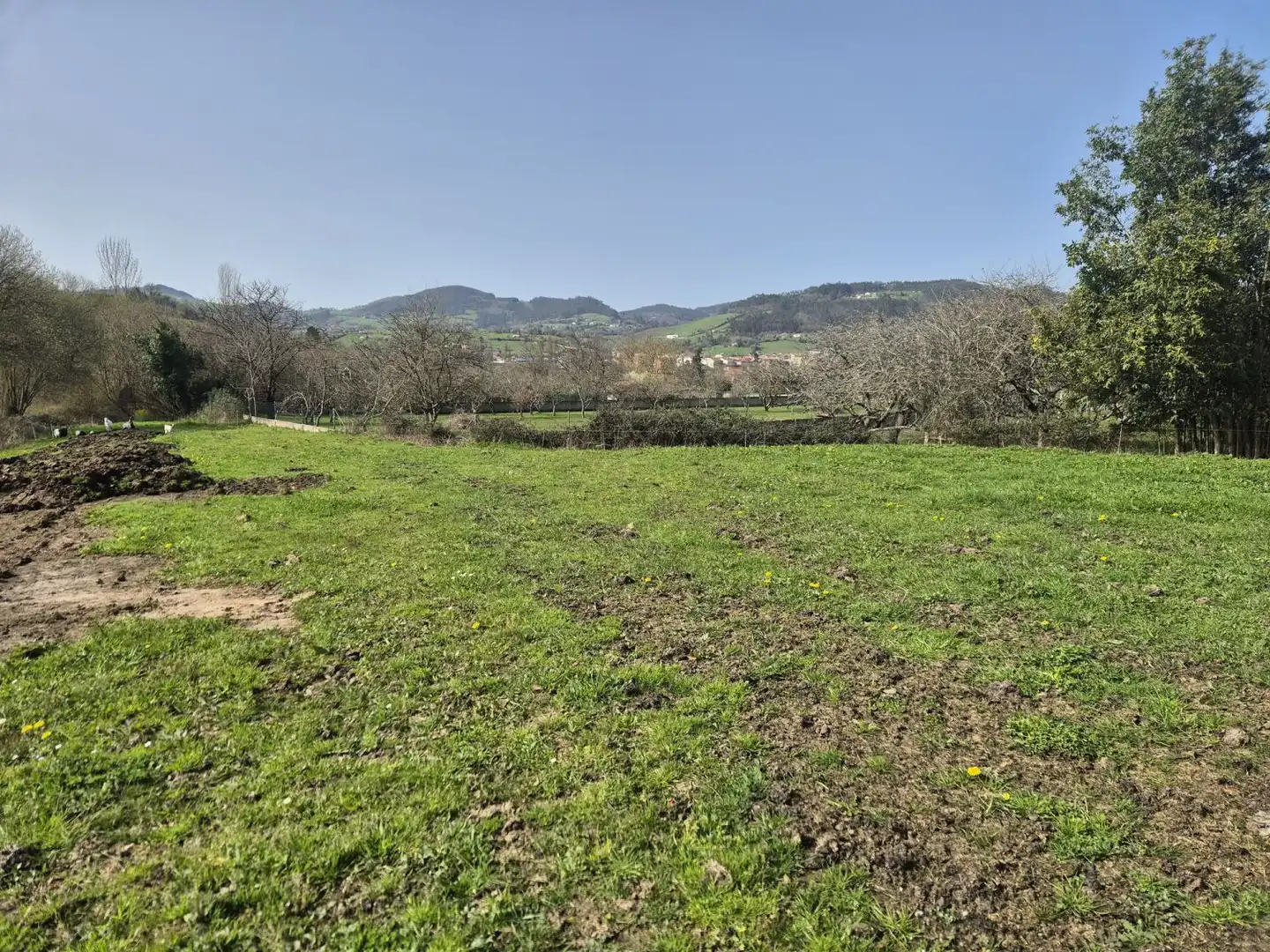 Residential land for sale in Grado, imagen 12
