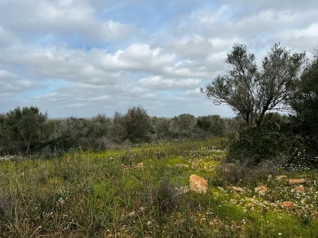 Finca rústica en venta en Campos