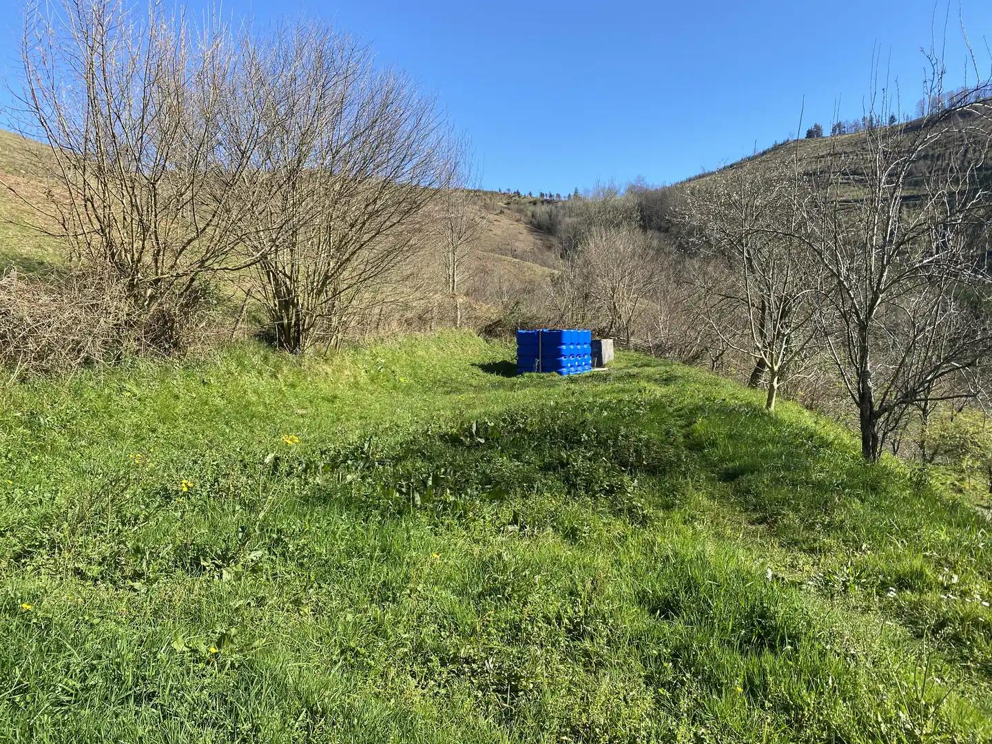 Finca rústica en venda a Sallobente-Ermuaran Bailara, Elgoibar