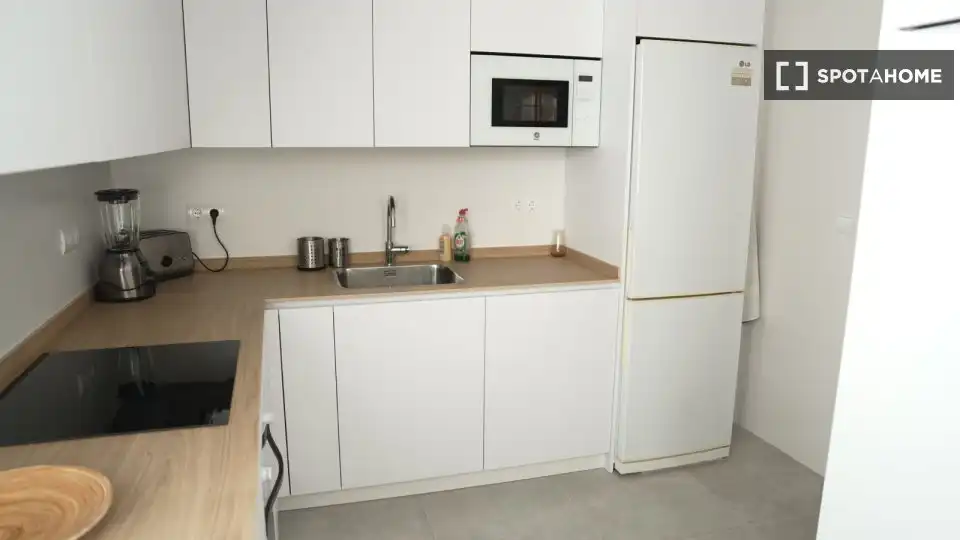 Kitchen of Apartments for share in Rincón de la Victoria  with Air Conditioner, Terrace and Furnished
