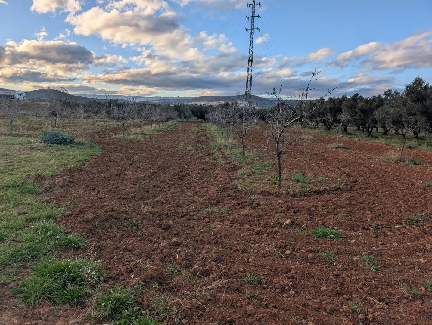 Terreno rustico in vendita a Ulldecona, imagen 29