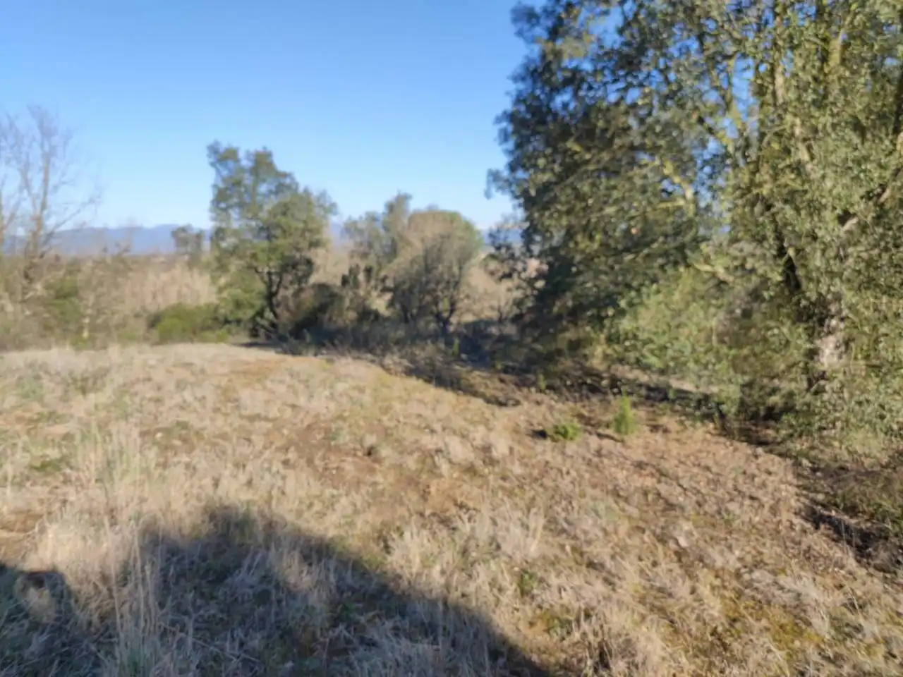 Terrain rustique à vendre à Calle VEINAT MATEUES 11, imagen 5